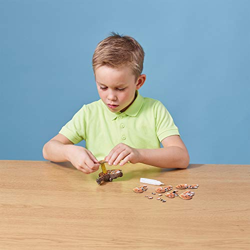EUGY 3D Turtle Model, Craft Kit