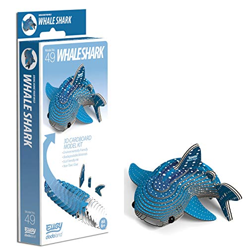 SAM-EUGY-WHALESHARK