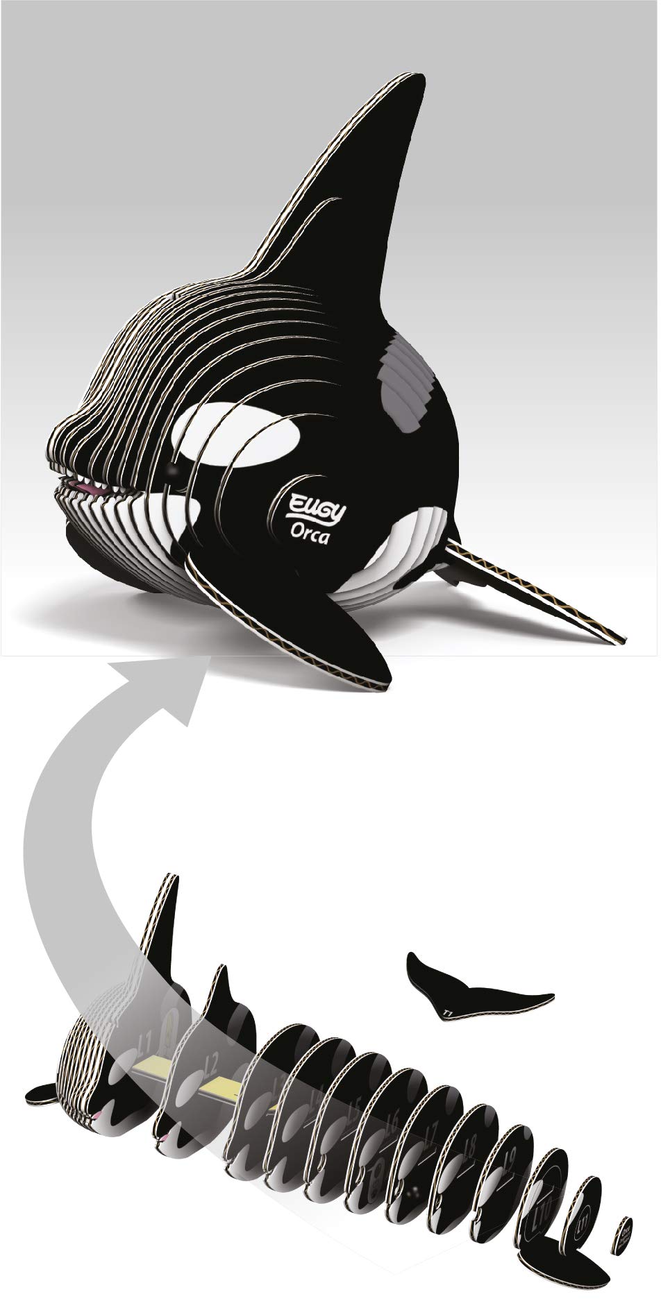 EUGY 3D Orca Model - Craft Kit