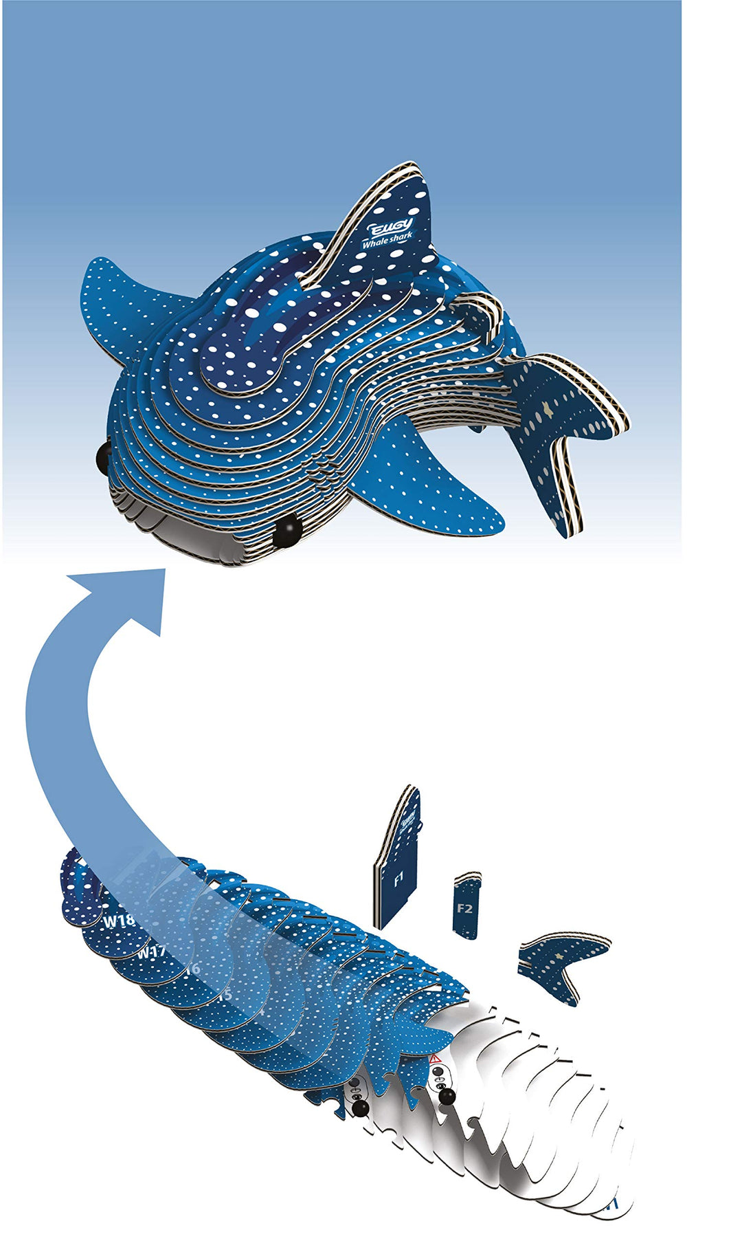 EUGY 3D Whale Shark Model - Craft Kit