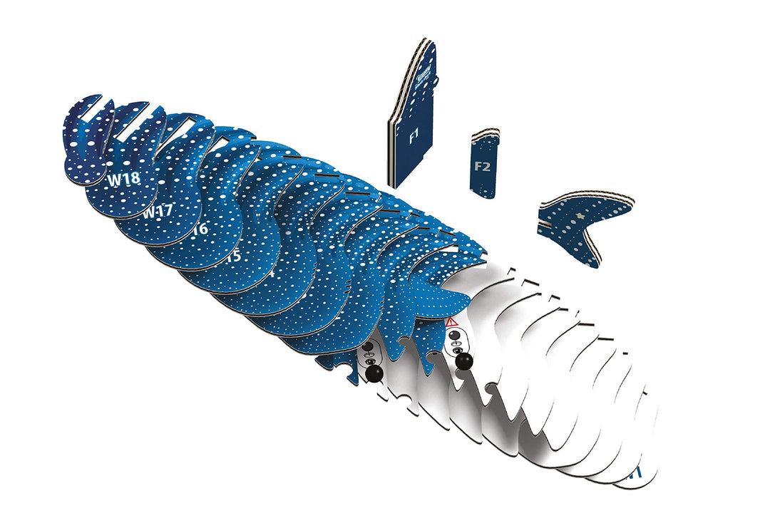 EUGY 3D Whale Shark Model - Craft Kit