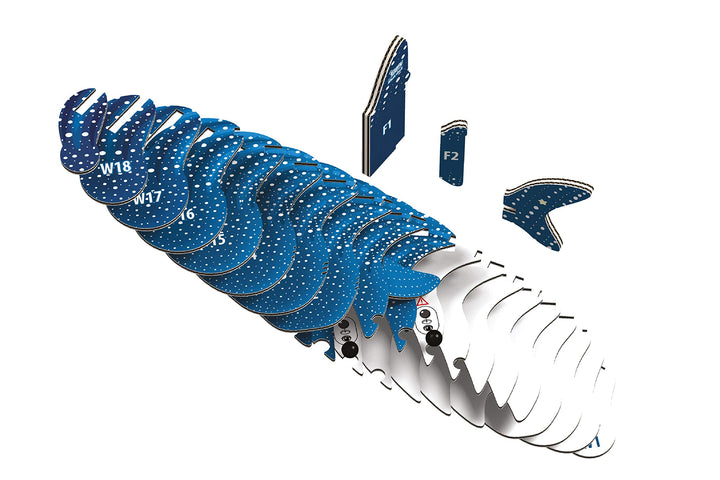 EUGY 3D Whale Shark Model - Craft Kit