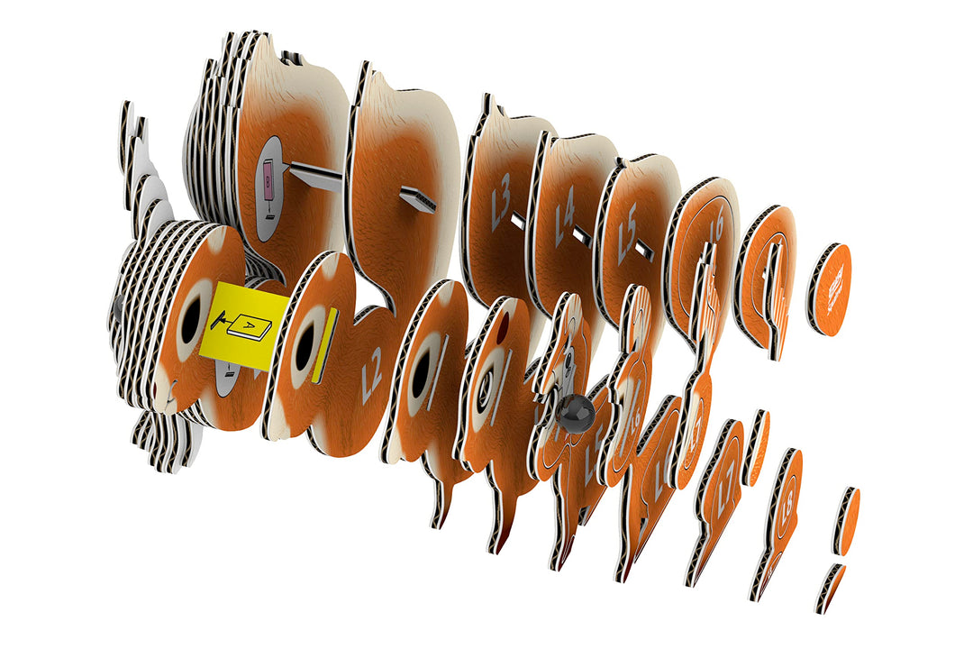 EUGY 3D Squirrel Model - Craft Kit
